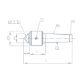 Bild 2 von Mitlaufende Präzisions-Zentrierspitze - Serie 243324 / 90°  / (Ausführung) Standard Line / (Größe) Mk 5, ø D 70
