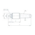 Bild 2 von Mitlaufende Präzisions-Zentrierspitze - Serie 243315